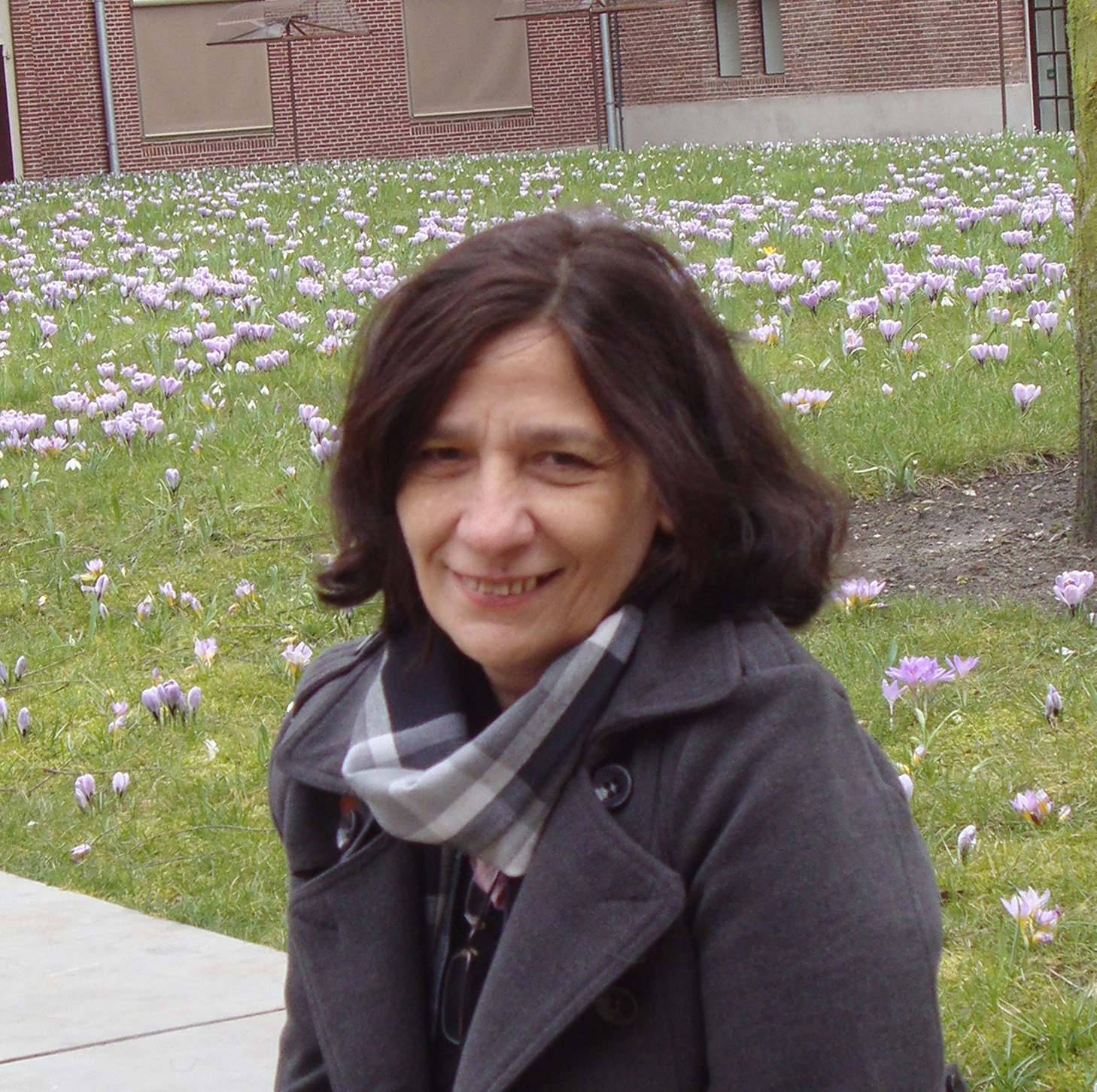 Sandra Pina Foto do autor Sandra Pina